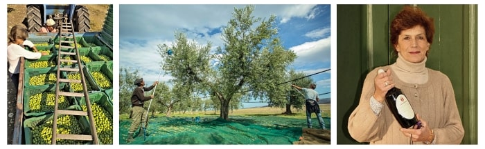 Donna Marina Colonna a její farma na jihu Itálie v Molise